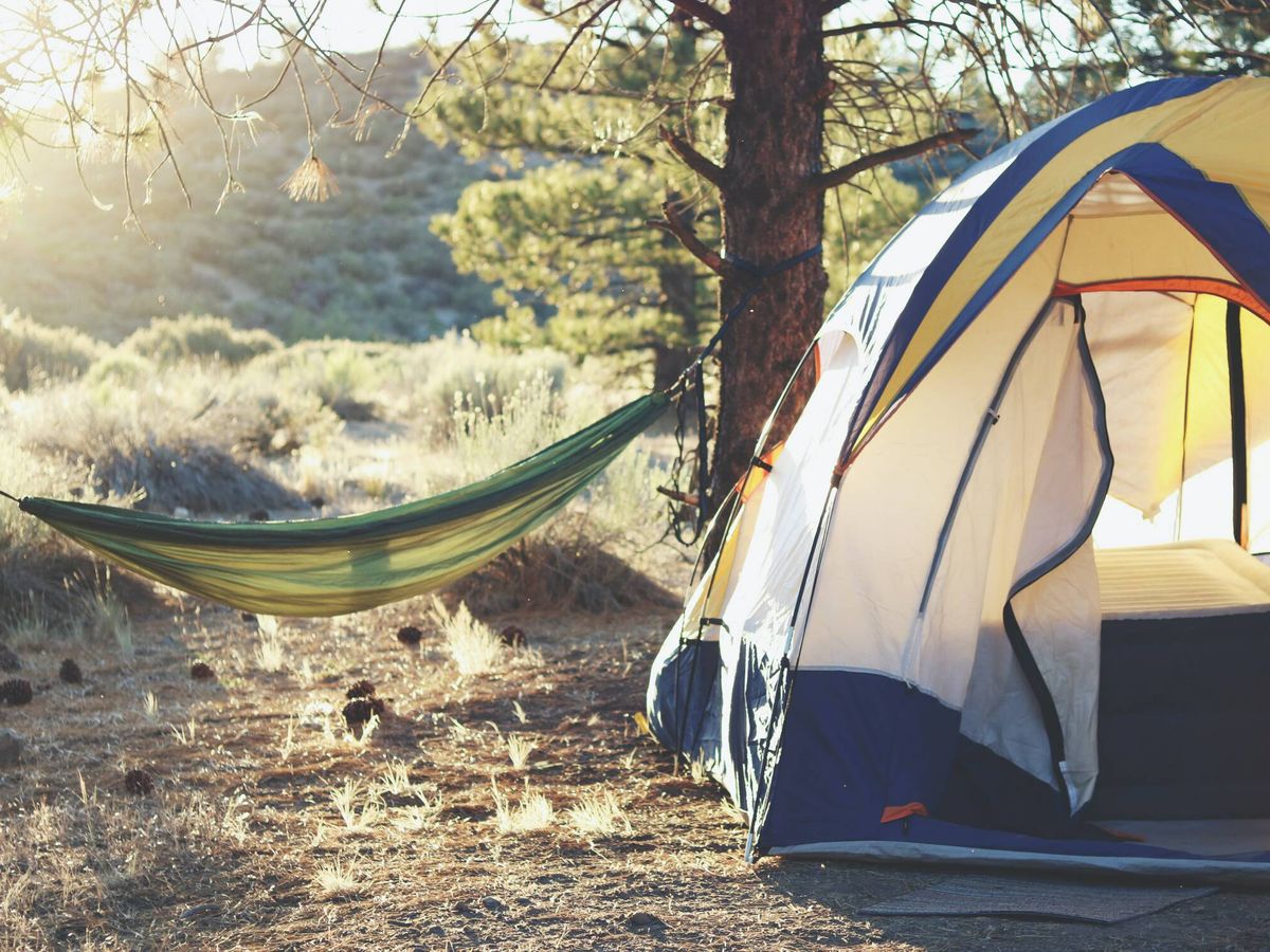 Foto: Ránking de los mejores campings en España. Foto: Unsplash