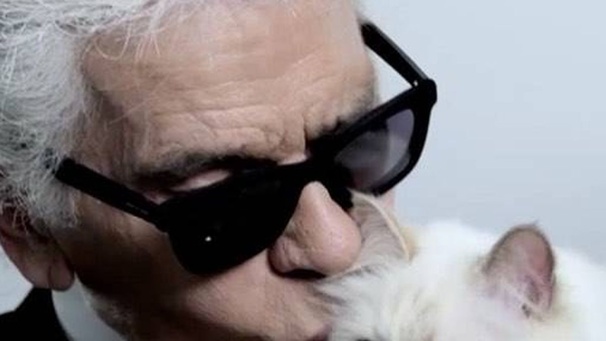 Choupette, la gata influencer de Karl Lagerfeld que cobra 3M de euros al año 
