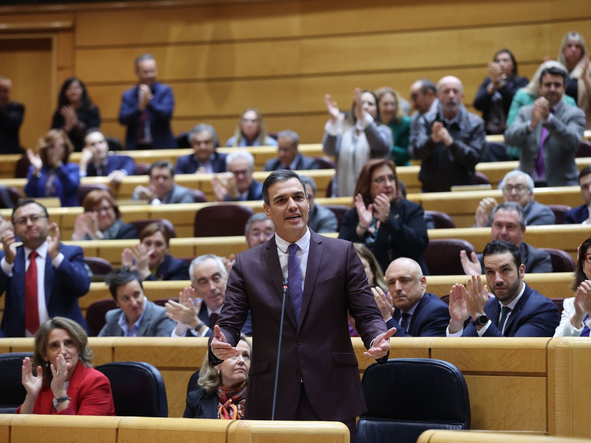 Foto: El presidente del Gobierno, Pedro Sánchez, interviene en el pleno del Senado en Madrid este martes. (EFE/Kiko Huesca)
