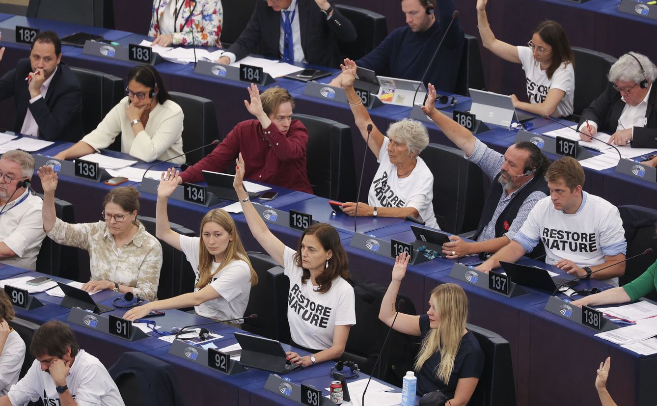 Votación de la ley en el Parlamento Europeo (EFE/J.Warnard)