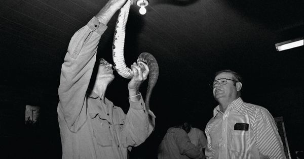 Foto: Denis Covington en plena misa con serpientes