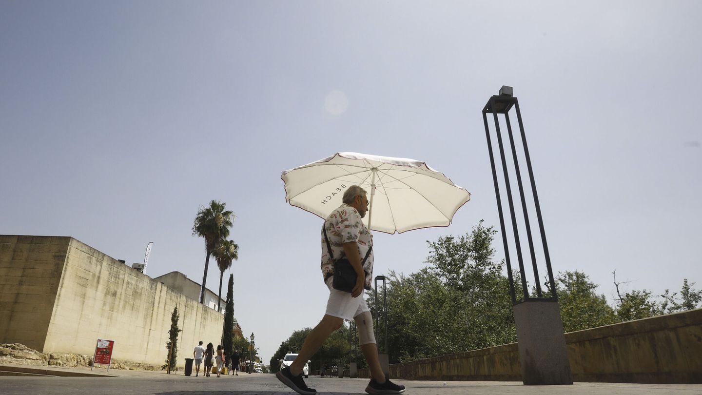 Un hombre se protege del calor con una sombrilla en una jornada de altas temperaturas en Córdoba. (EFE/Salas)