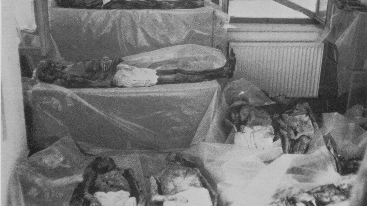 Los muertos vivientes de Venzone: el misterio de las momias que definió la historia de un pueblo 