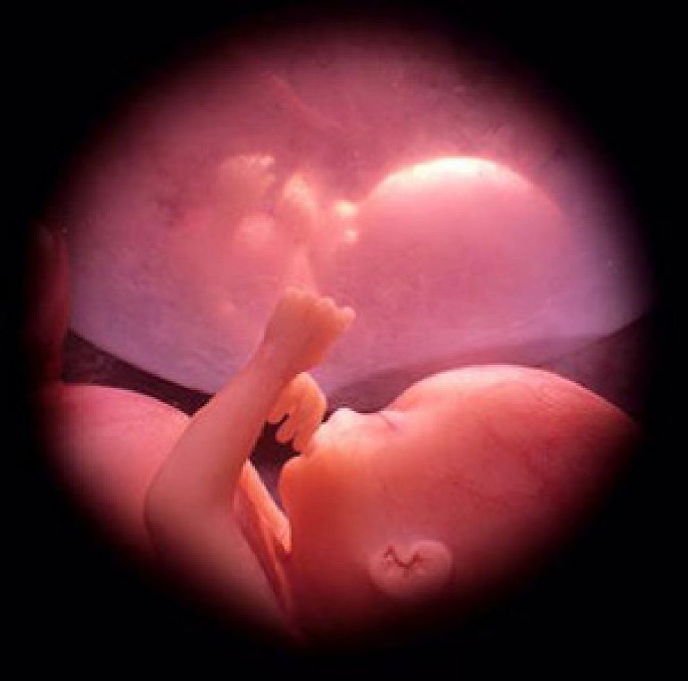 Foto: En España hay 50.000 embriones congelados en un "limbo legislativo"
