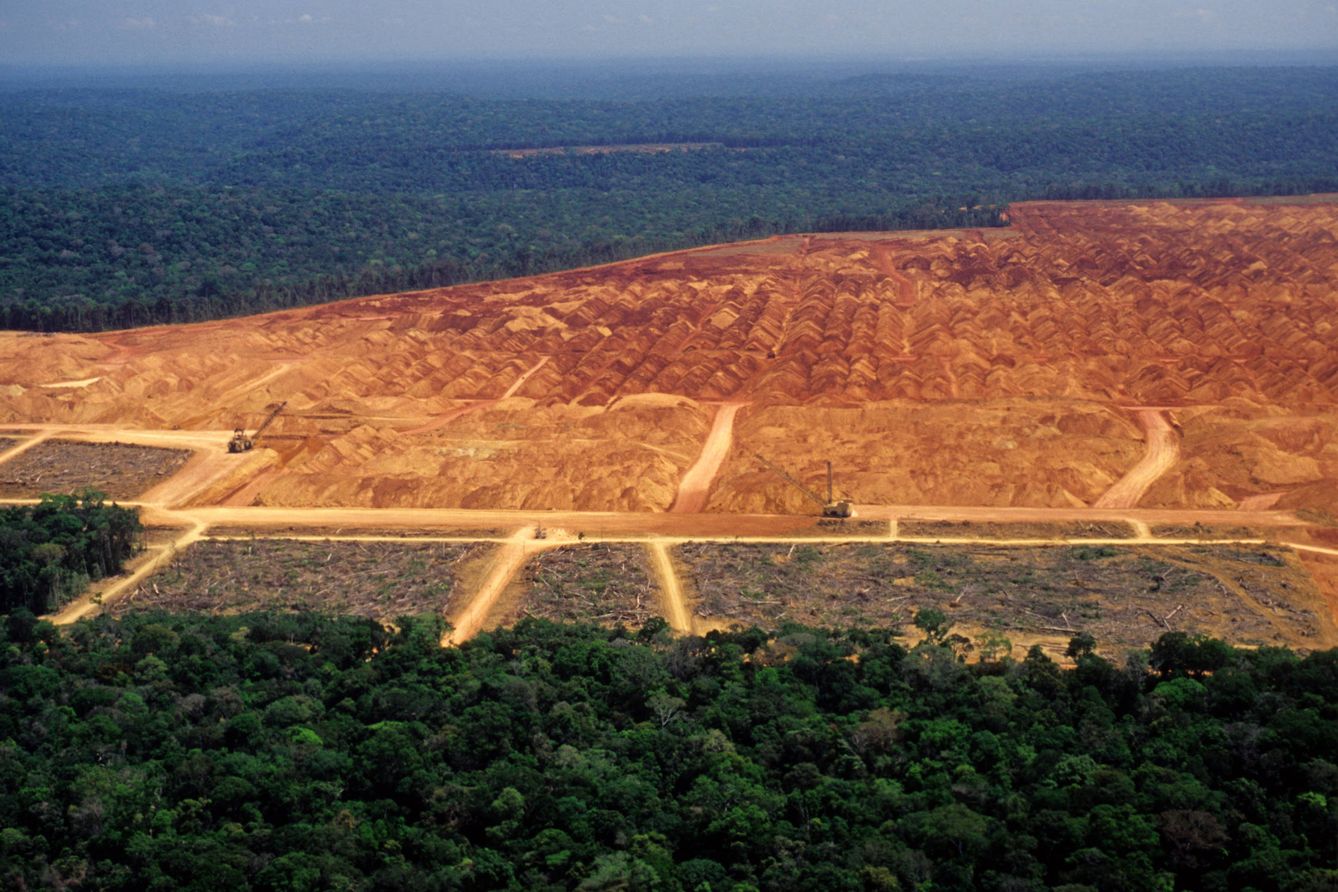 Deforestación en el Amazonas. (Reuters)