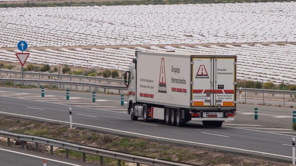 España, sin camiones: el sector del transporte amaga con una huelga patronal al Gobierno