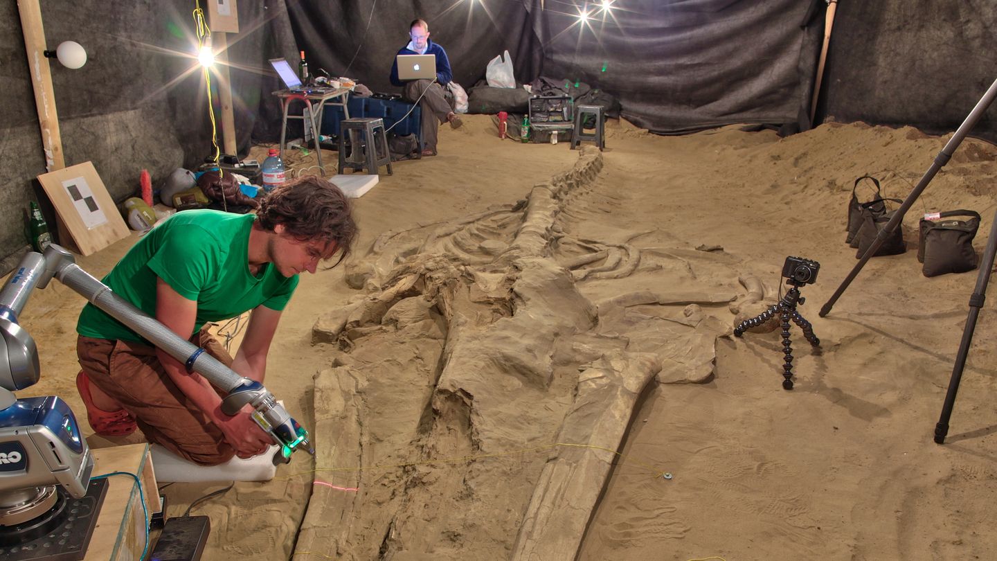 Los investigadores tuvieron sólo 15 días para analizar los fósiles 'in situ'. (Smithsonian)