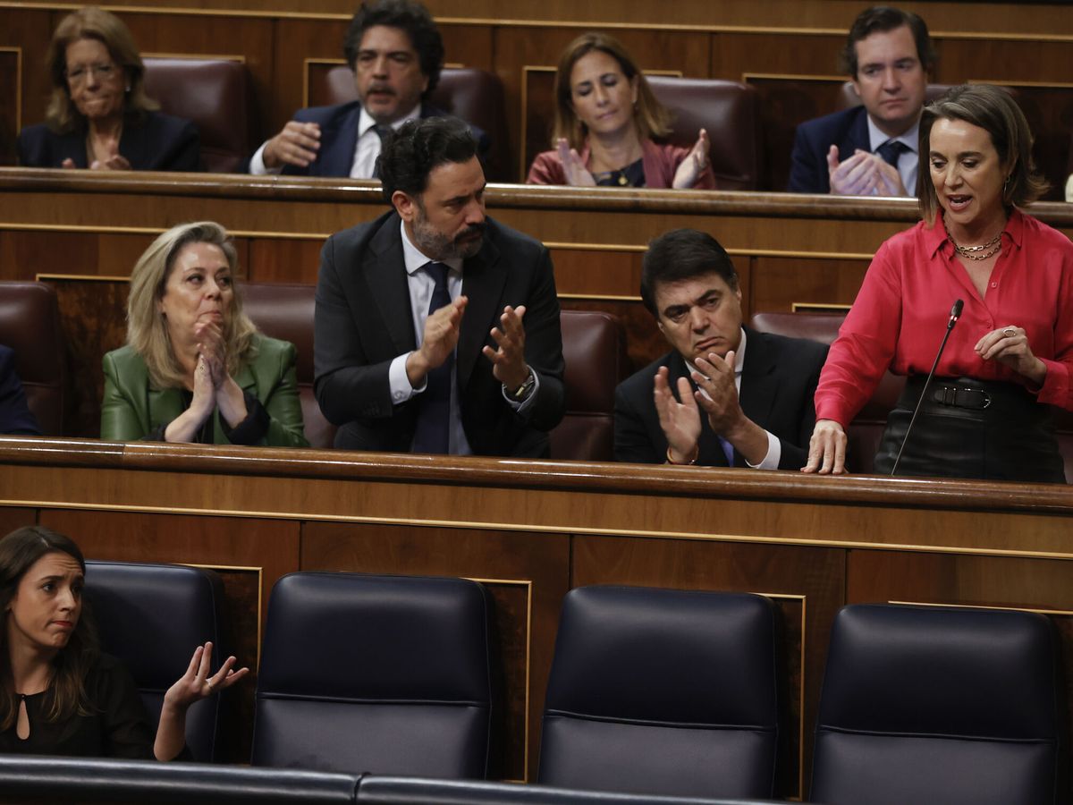 Foto: La portavoz popular en el Congreso, Cuca Gamarra, interpela a la ministra de Igualdad, Irene Montero. (EFE/J.C. Hidalgo)