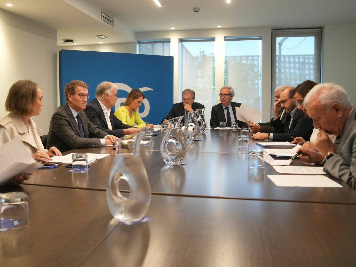 Foto: El presidente del PP, Alberto Núñez Feijóo, se reúne en Génova con un equipo de colaboradores y expertos en política internacional. (PP/David Mudarra)