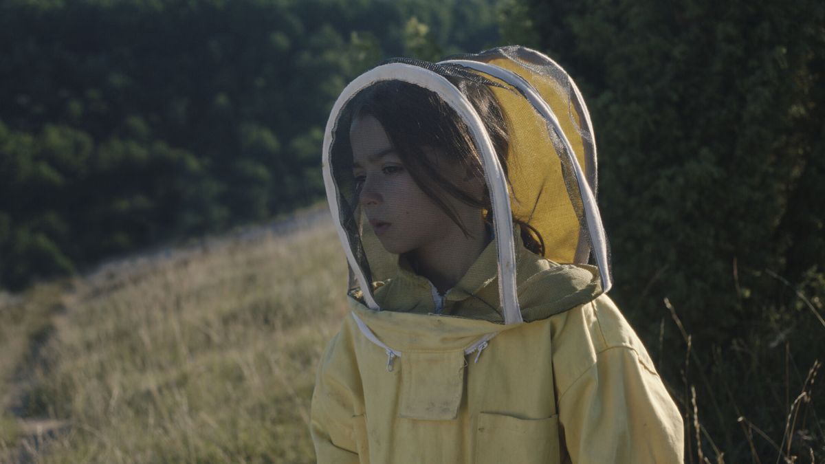 Dónde ver las películas nominadas a los Goya 2024: de 'La sociedad de la nieve' a '20.000 especies de abejas'