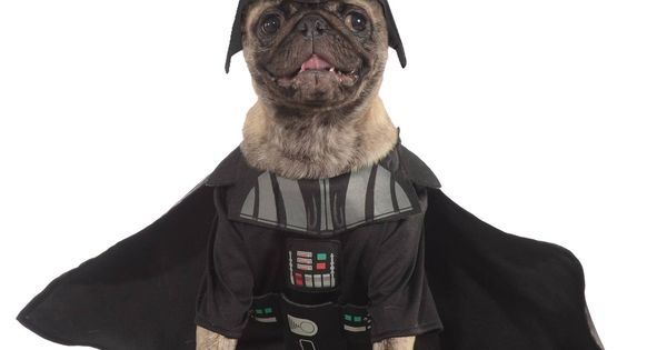 Foto: Un disfraz canino de Darth Vader
