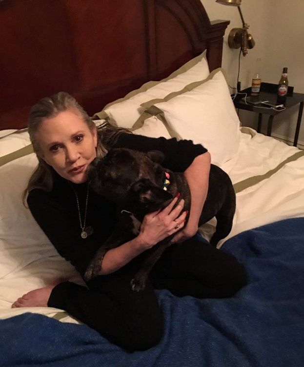 Foto: Carrie Fisher con su perro Gary (Twitter)