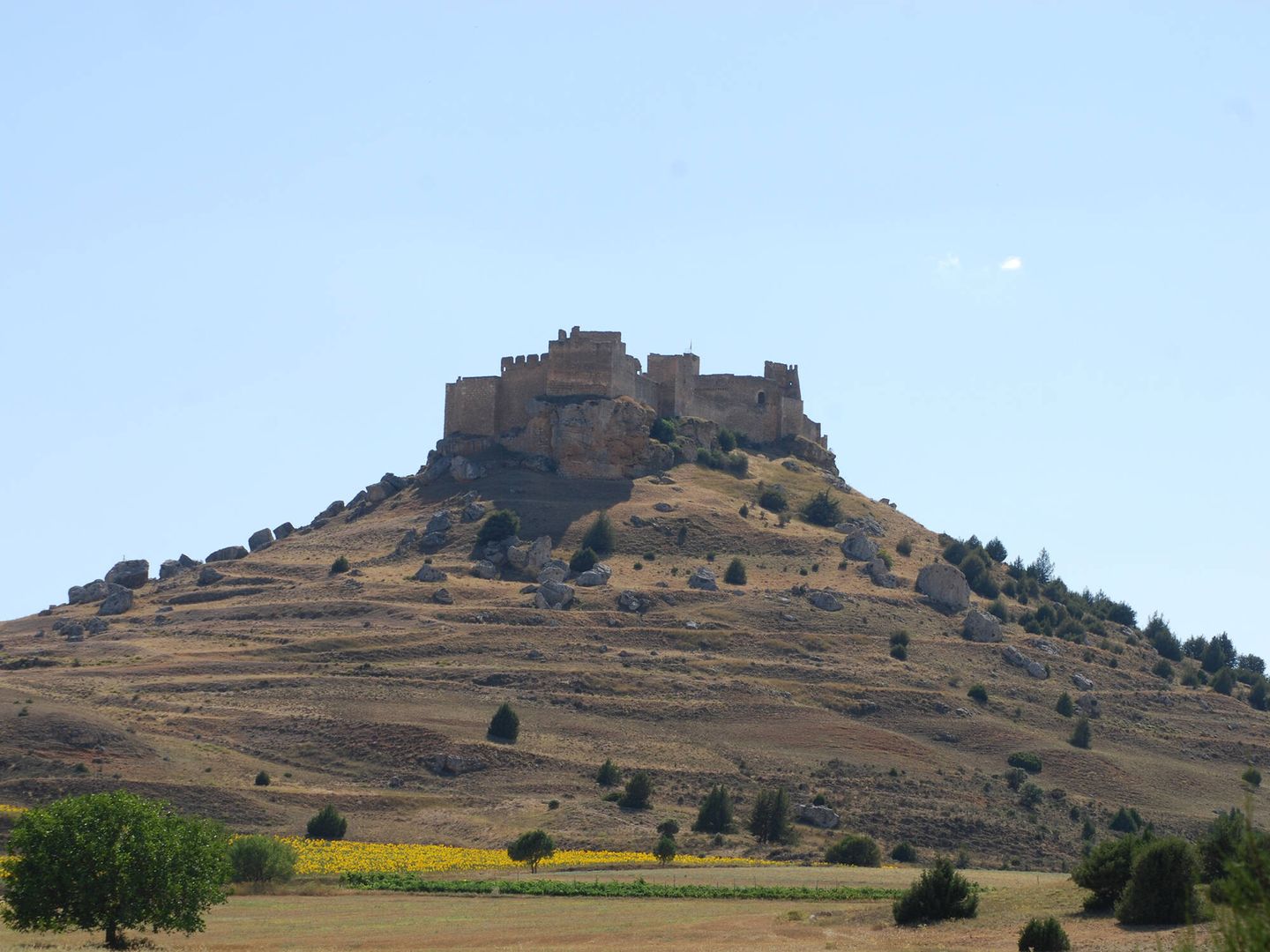 Castillo de Gormaz. (Cedida)