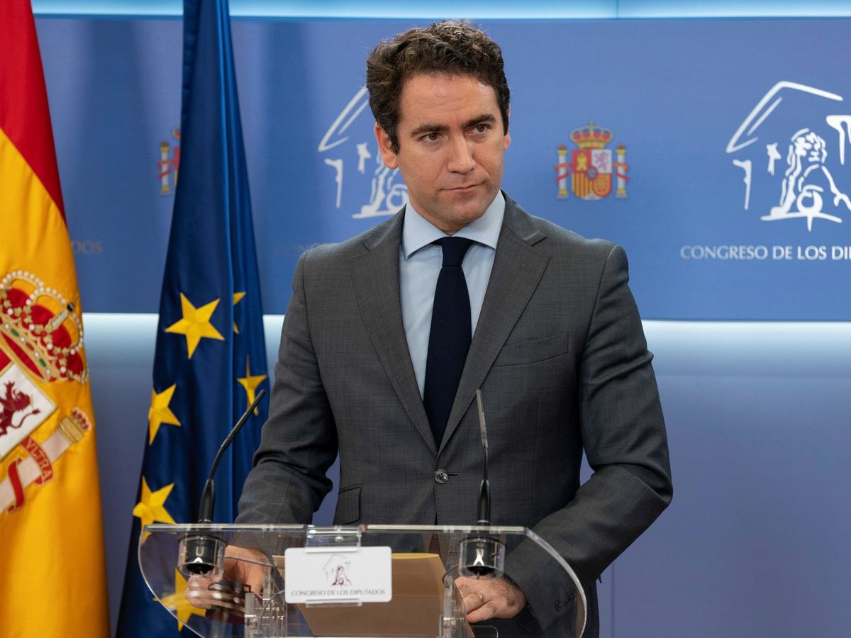 Foto: El secretario general del PP, Teodoro García Egea. (EFE)