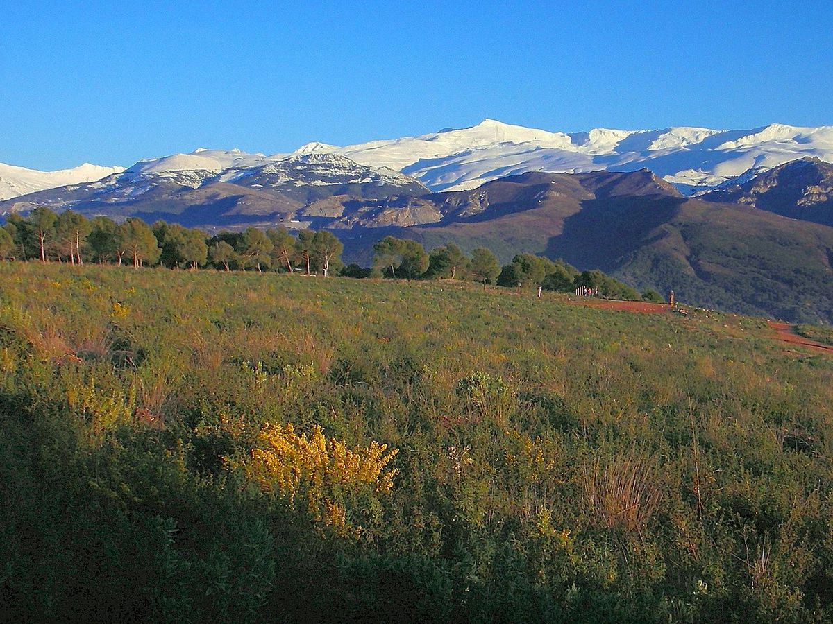 Foto: Vista panorámica de Sierra Nevada. (Alfredo Martínez, EFE)