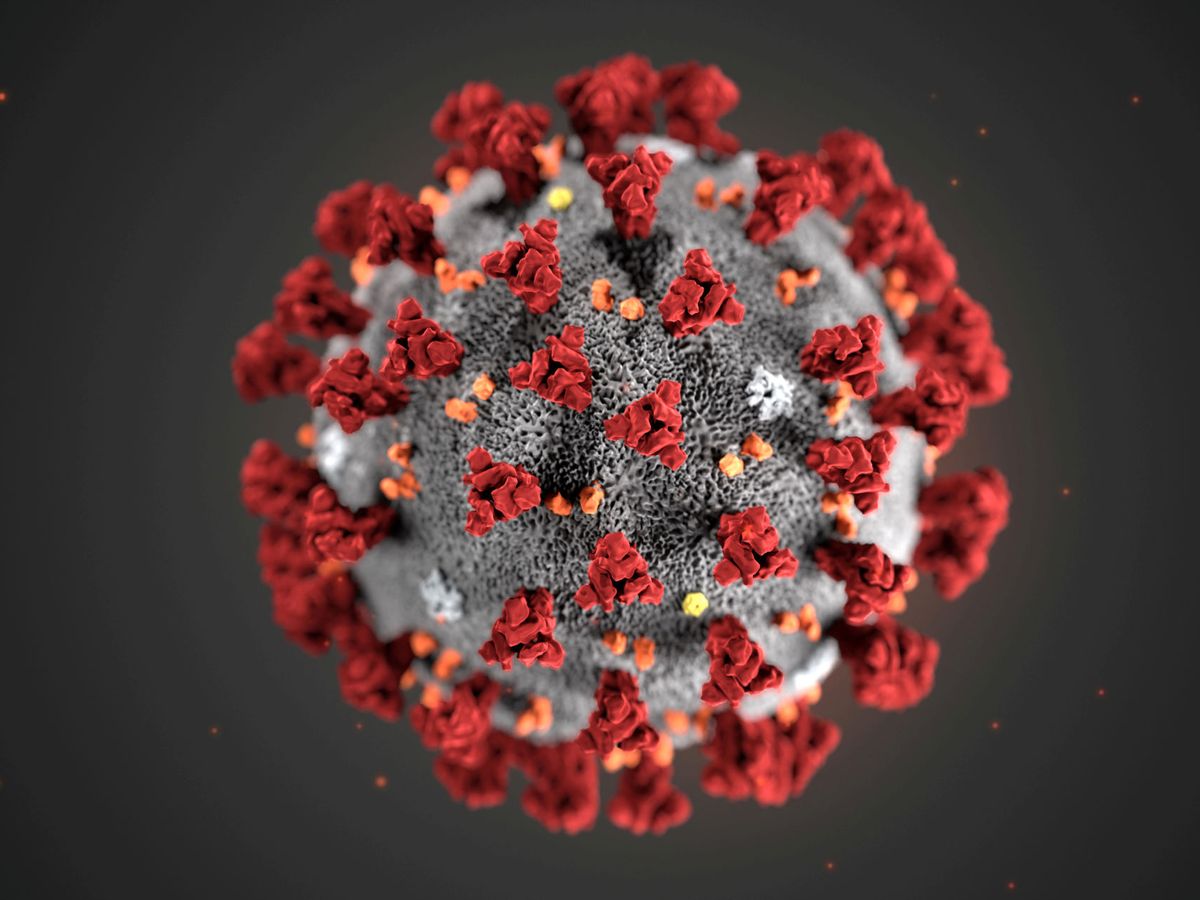 Foto: Ilustración del coronavirus, creada por el Center Of Disease Control. (Reuters)
