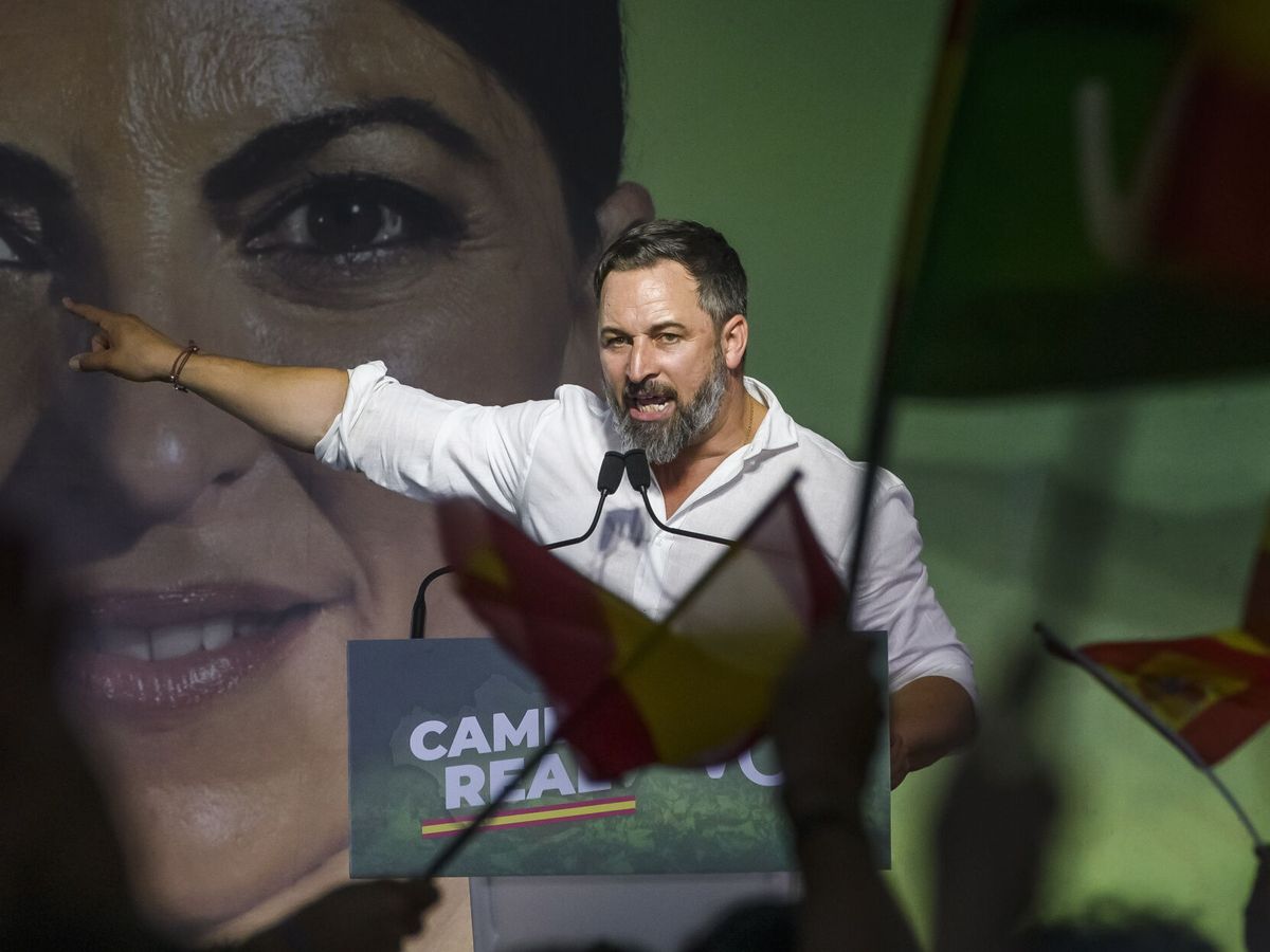 Foto: El líder nacional de Vox, Santiago Abascal. (EFE/Raúl Caro)