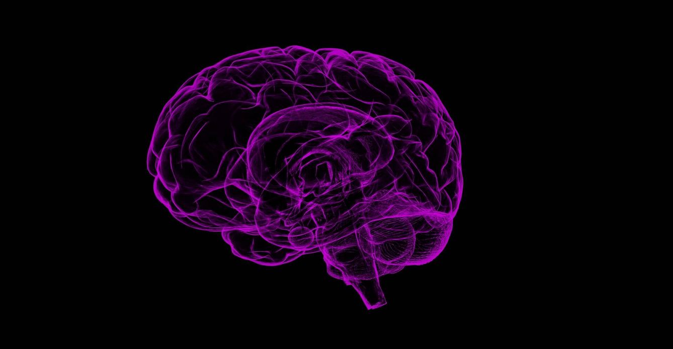 El cerebro se reconecta fortaleciendo las sinapsis, construyendo nuevas neuronas.  (Pixabay)