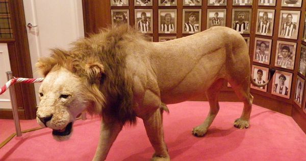 Foto: Imagen del famoso león que hay en San Mamés 