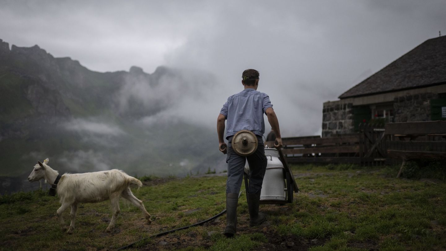 Un granjero, en los Alpes suizos. (EFE/G. Ehrenzeller)