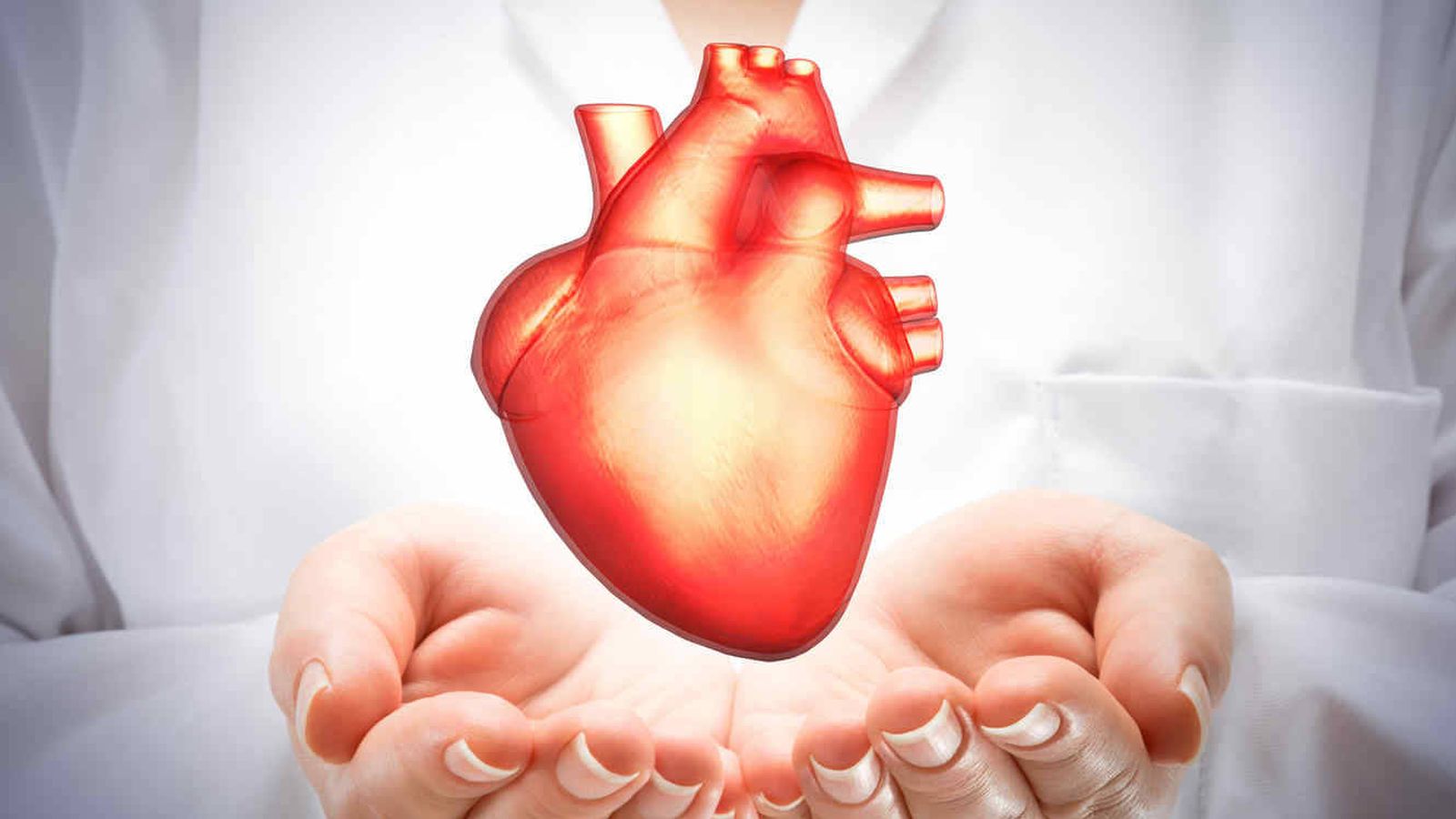 Насмешка сердца. Сердце в руках. Сердце медицина. Сердце кардиология.