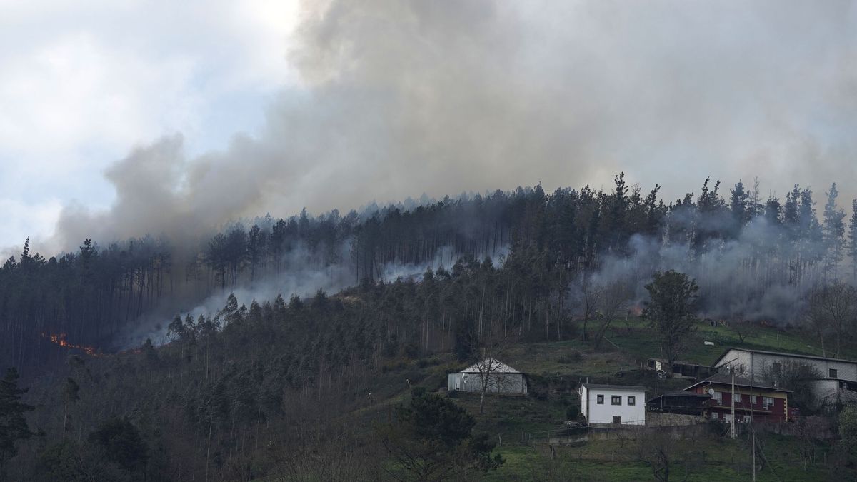 Asturias inicia el fin de semana con riesgo alto de incendios: hay seis activos y ocho en revisión