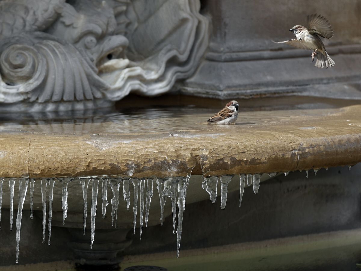 Foto: Una fuente helada en Pamplona. (EFE/Diego Diges)