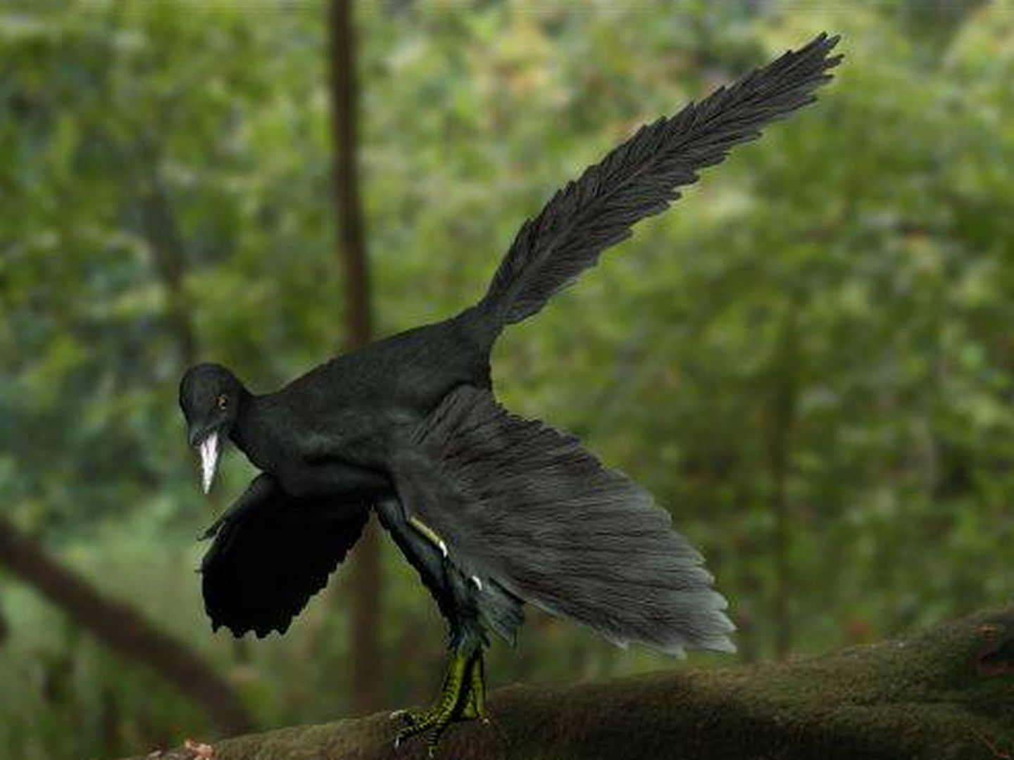 Reconstrucción artística ilustrando una interpretación de Archaeopteryx. Foto: Wikipedia