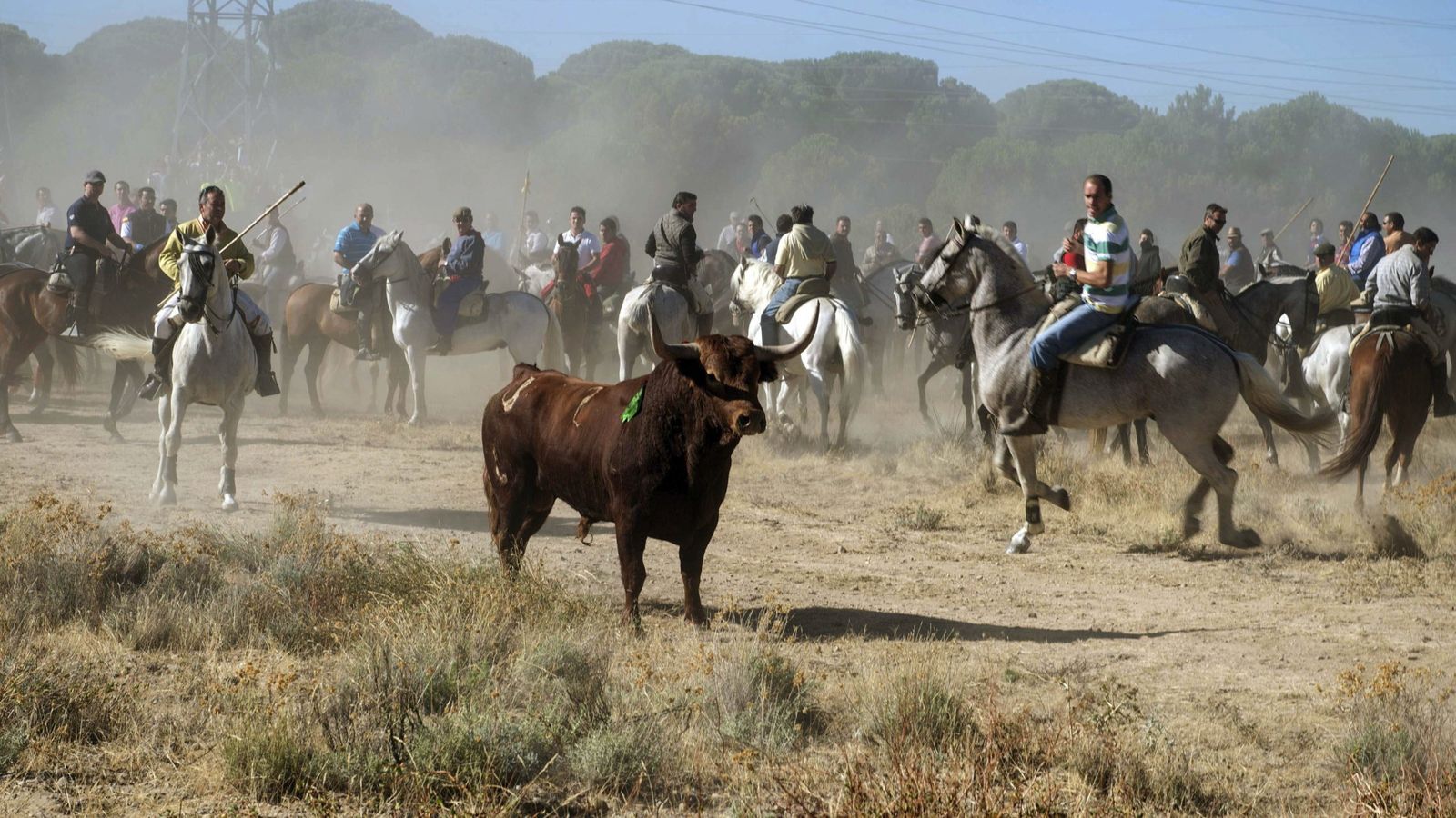 Foto: Fotografía de archivo del Torneo del Toro de la Vega celebrado en Tordesillas. (EFE)