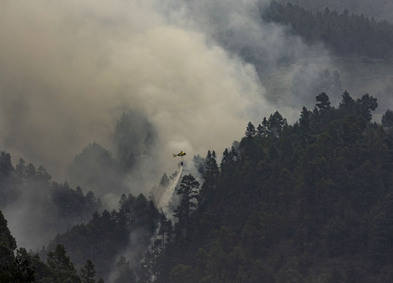 Un helicóptero descarga agua sobre el incendio forestal de La Palma. (EFE)