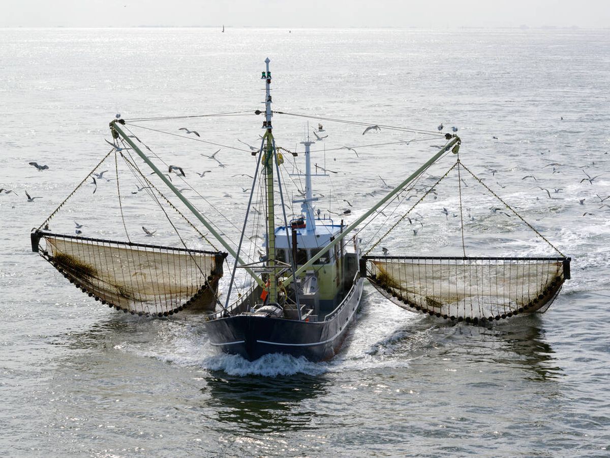 Foto: La pesca de arrastre es una de las prácticas más dañinas para la salud del mar. (iStock)