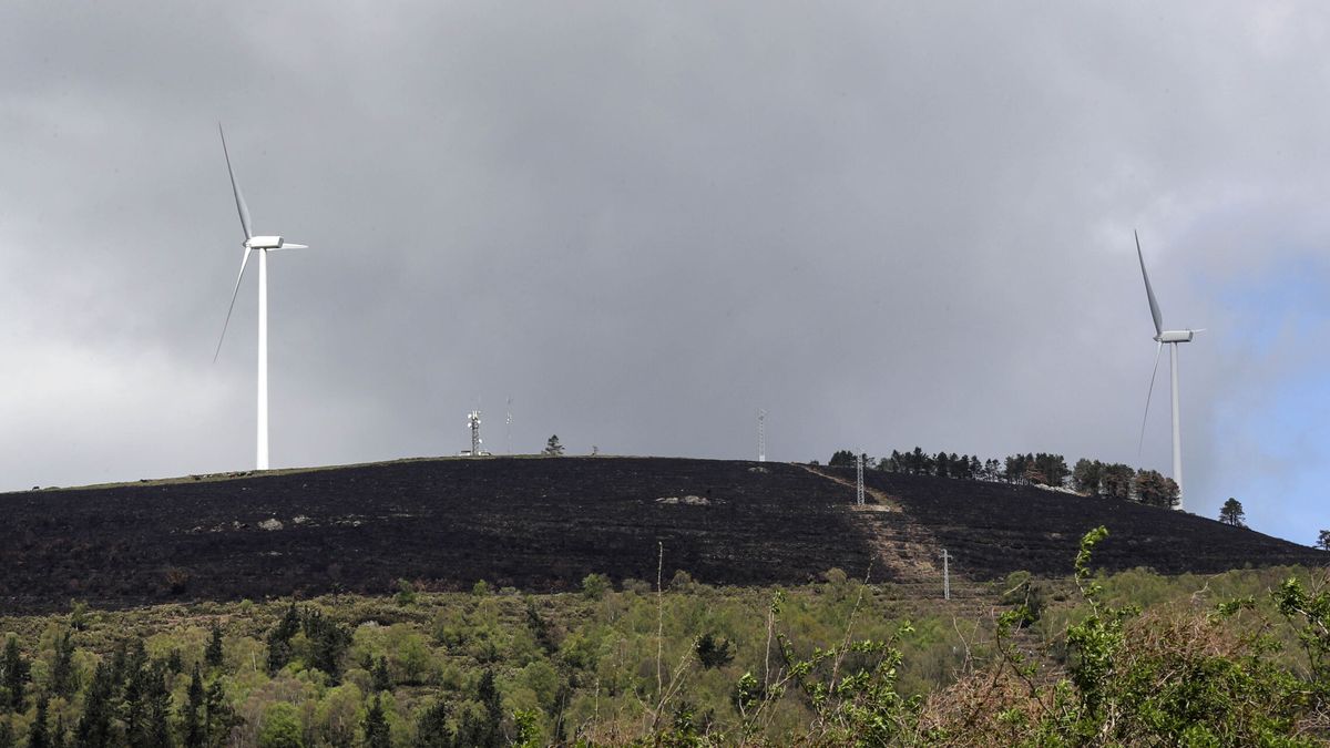 Detenido el autor de un incendio forestal que arrasó 10.000 hectáreas en Asturias
