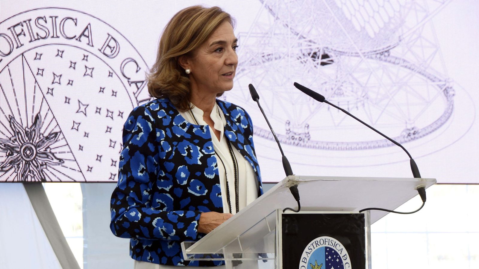 Foto: La secretaria de Estado de Investigación, Desarrollo e Innovación, Carmen Vela. (EFE)