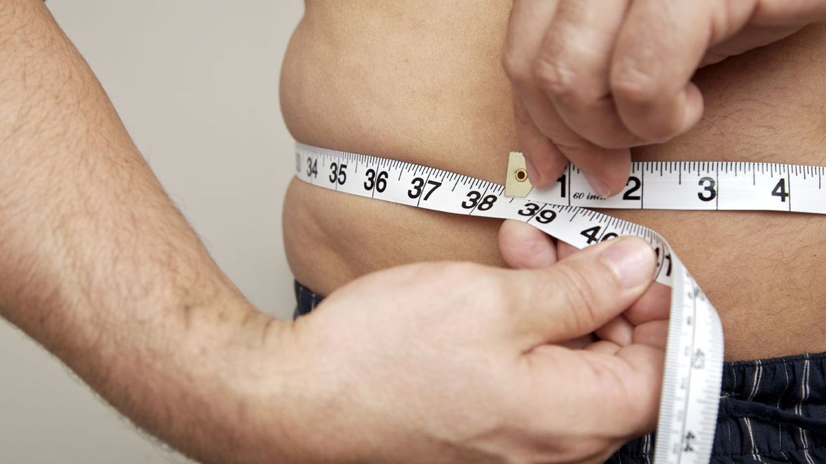 Por esto engordamos: todo lo que sabemos sobre la obesidad 
