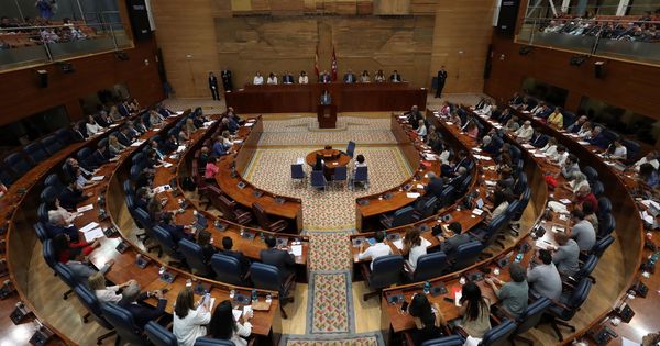 Foto: Vista general del hemiciclo de la Asamblea de Madrid. (EFE)