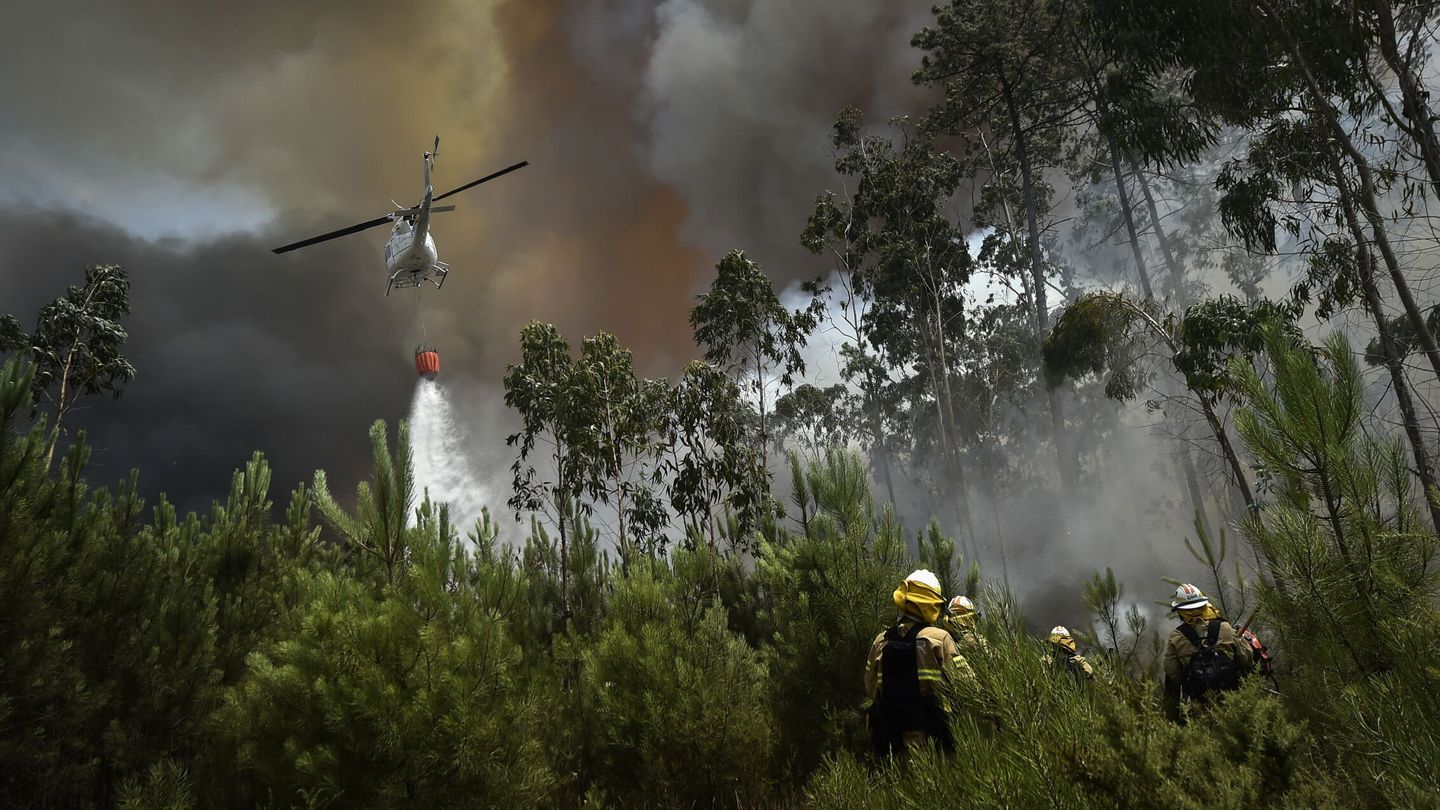Los bomberos intentan apagar en las llamas en Portugal. (EFE/Nuno Andre)