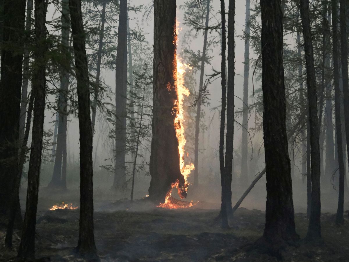 Foto: Incendio en Yakutia, Rusia. (Reuters/Alexander Reshetnikov)