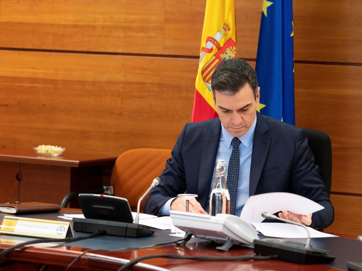 Foto: Pedro Sánchez, este 31 de marzo, durante el Consejo de Ministros telemático. (EFE