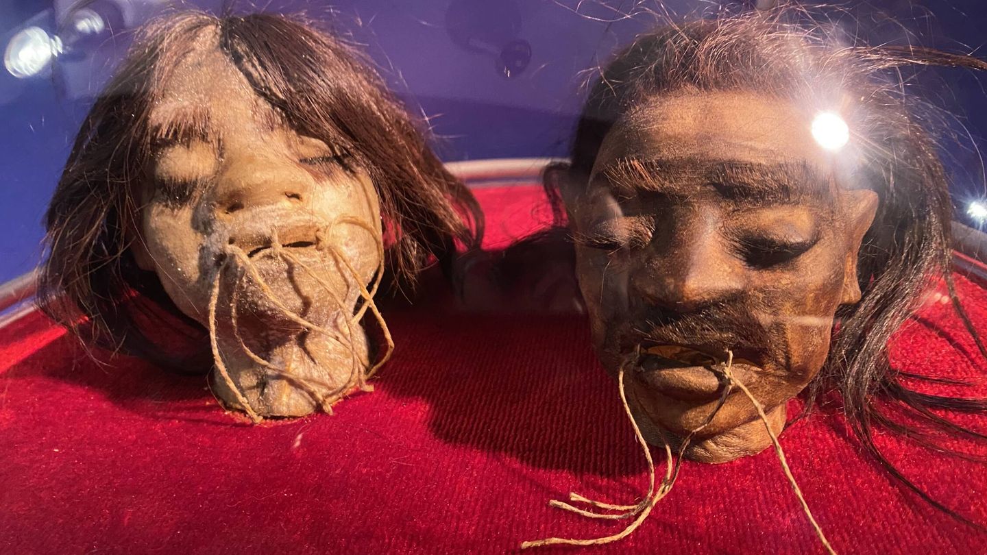Las dos cabezas jibarizadas del Museo de miniaturas del Profesor Max. (M.M.)