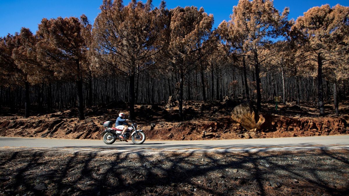 Un año del fuego de Sierra Bermeja: dos causas para aclarar el primer incendio de sexta generación
