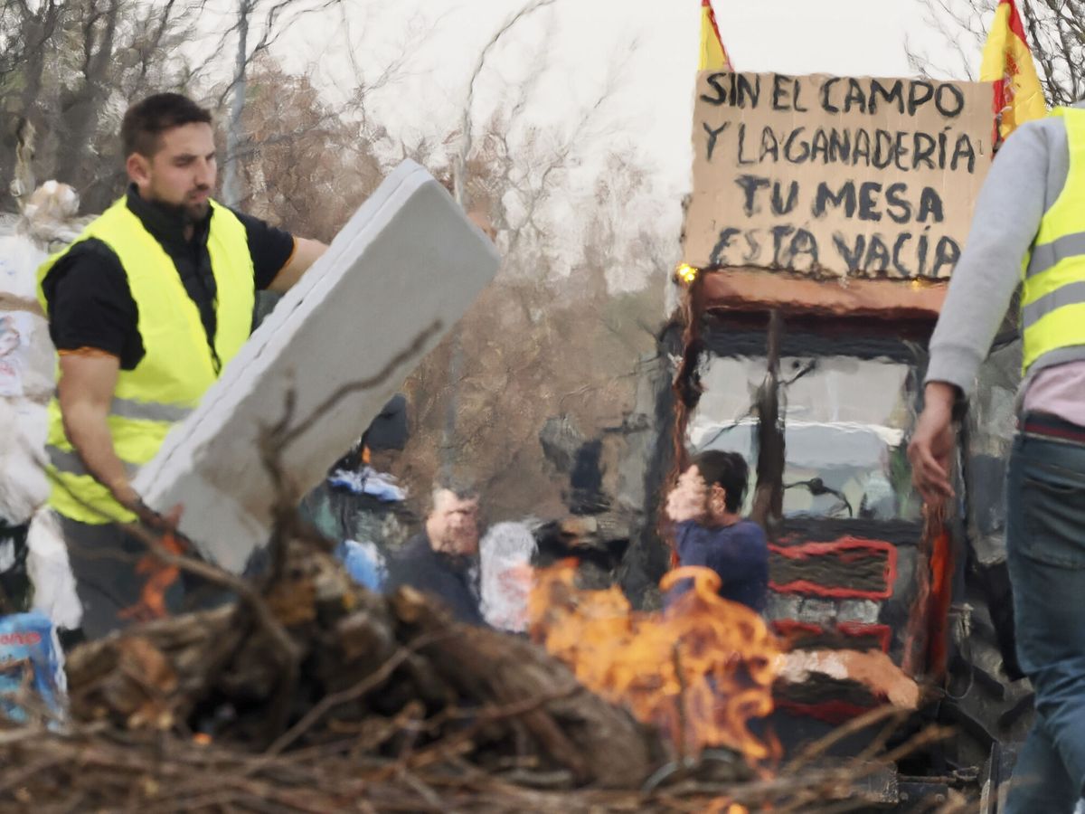 Foto: Manifestación de ayer lunes frente la Consejería de Agricultura de Castilla y León. (EFE/R. García)