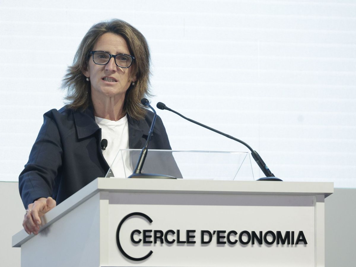 Foto: Teresa Ribera, vicepresidenta tercera y ministra para la Transición Ecológica y el Reto Demográfico. (EFE)