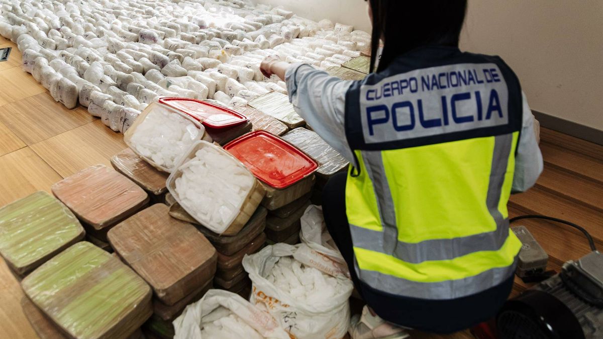 Un hallazgo de cocaína en Tenerife, clave para la caída del cartel de Sinaloa en España