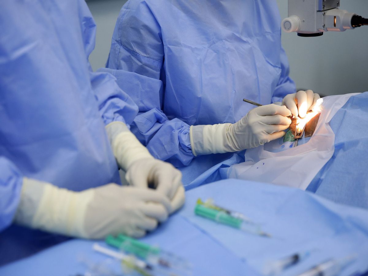 Foto: Médicos realizando una cirugía en quirófano. (EFE/Óscar Rivera)