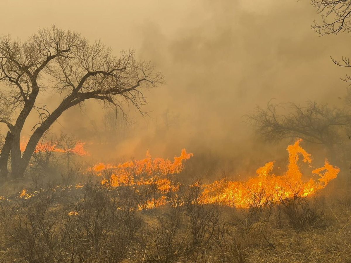 Foto: Vista de un incendio forestal. (EFE)
