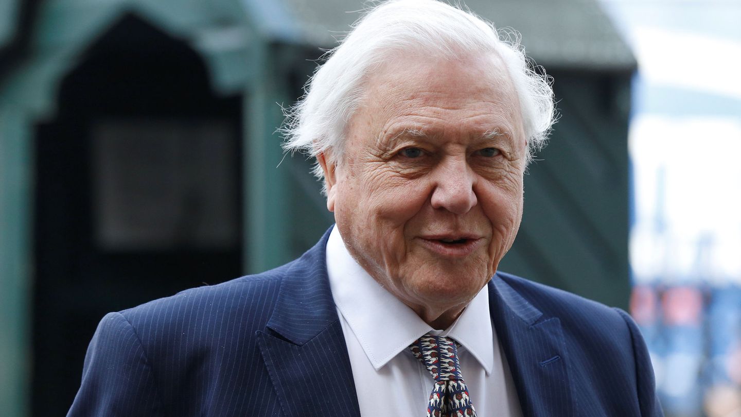El célebre naturalista Sir David Attenborough, firme impulsor de la acción climática. (Reuters/S.Plunkett)