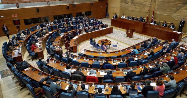 Foto: Vista general del pleno de la Asamblea de Madrid. (EFE)