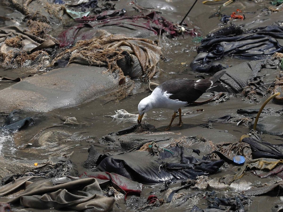 Foto: La gestión de residuos es un problema persistente y frecuente en nuestro mundo (EFE/Paolo Aguilar).