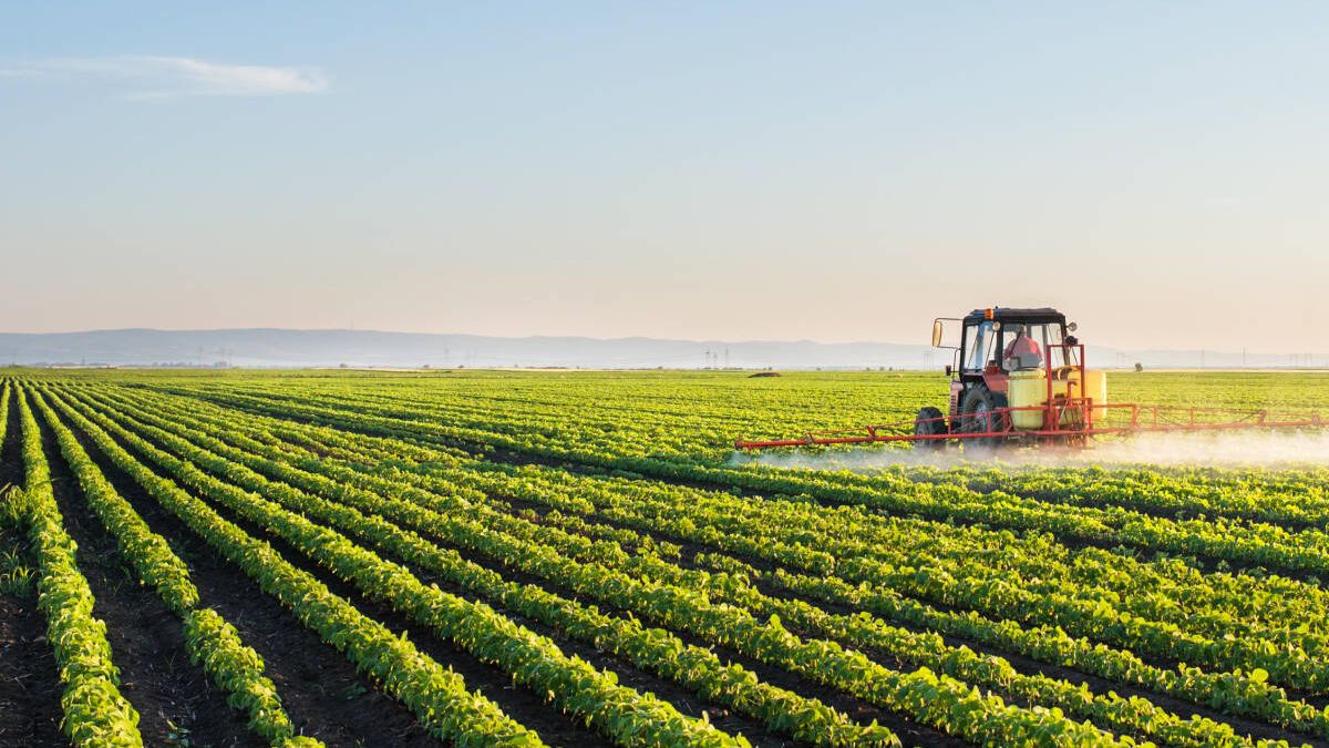 AgroBank financia con 29.479 millones al sector agroalimentario en 2022, un 95,6% más 