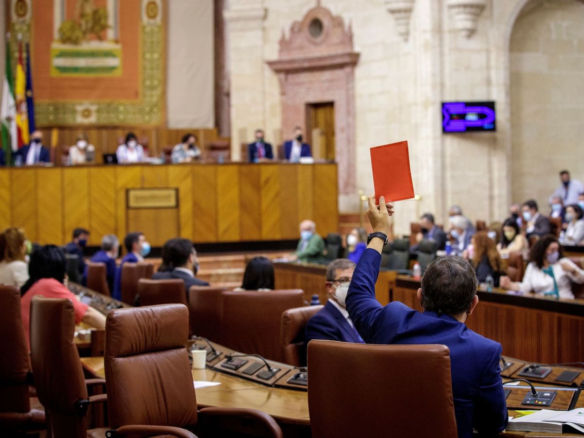 Foto: Parlamento de Andalucía. (EFE)